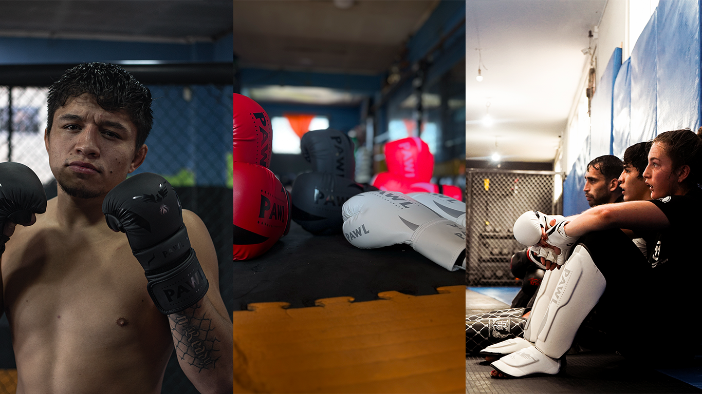 Banner de guantes de boxeo colección Apex, equipamiento premium para entrenamiento, sparring y competencia en Chile