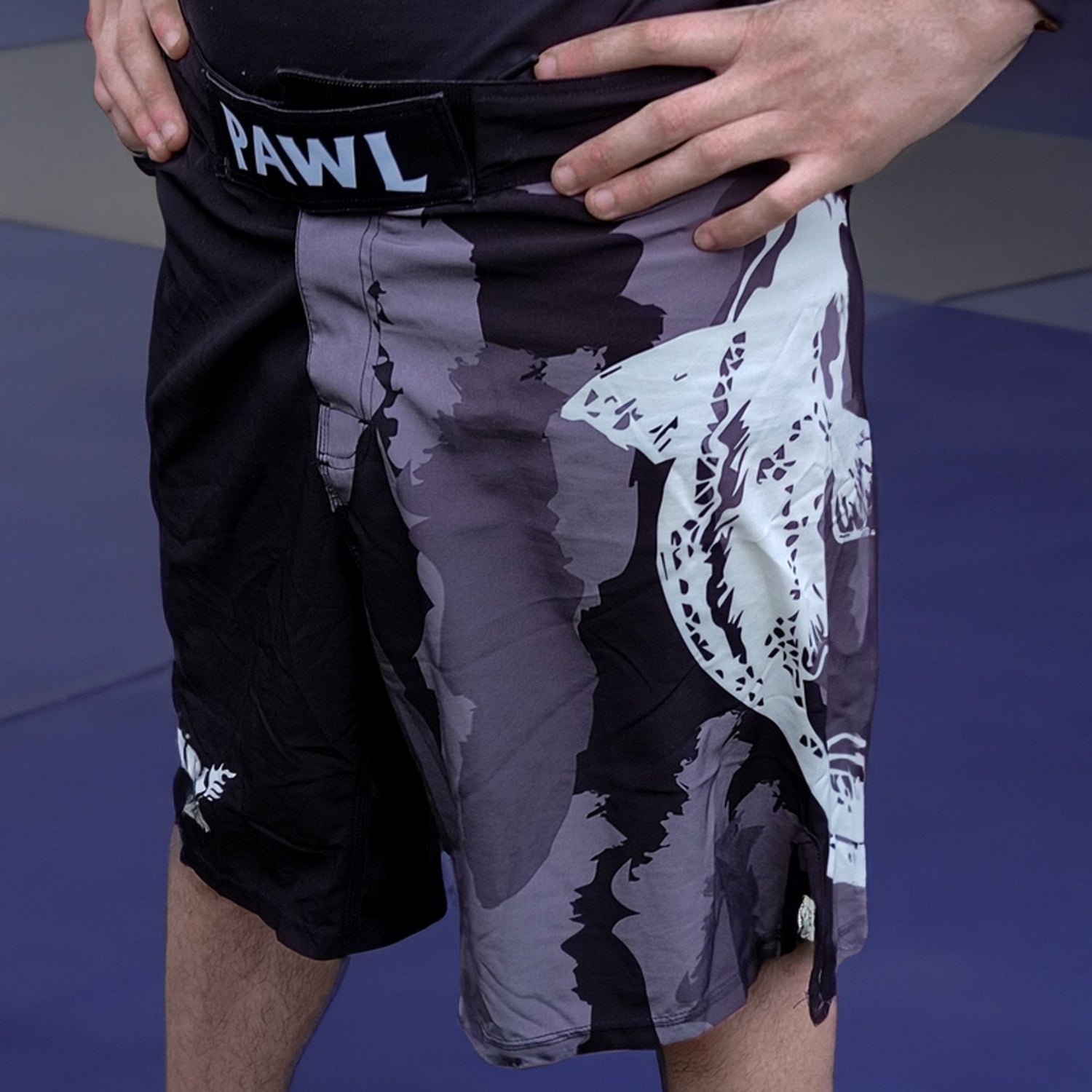 pantalon de MMA