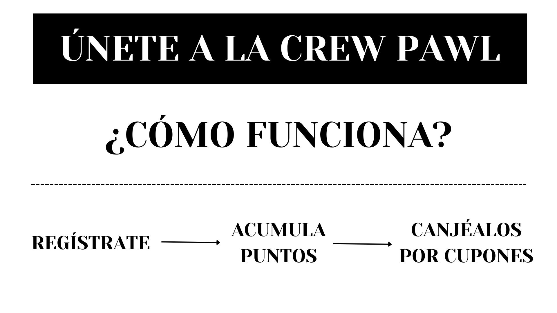 Gana puntos y canjealos por descuentos